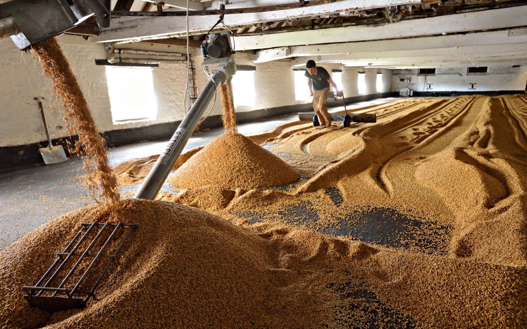 Warminster Maltings 01