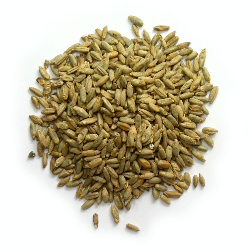 Malted Golden Rye Warminster Maltings | Brewers & Distillers Malts | Heritage Malts