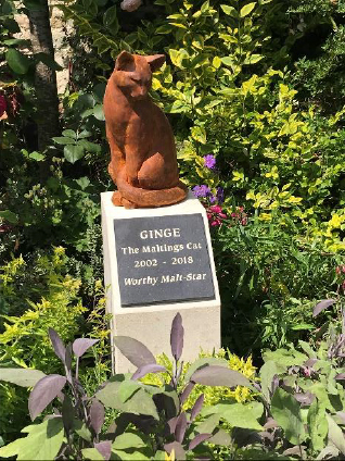 ginge-the-cat