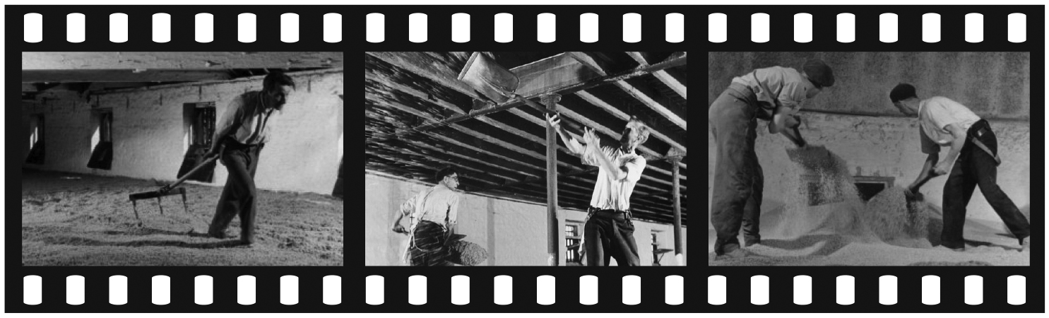 film-strip-2