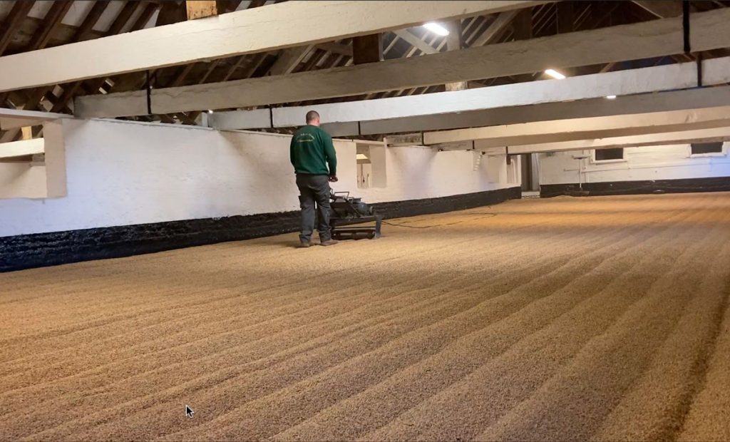 germination-floor