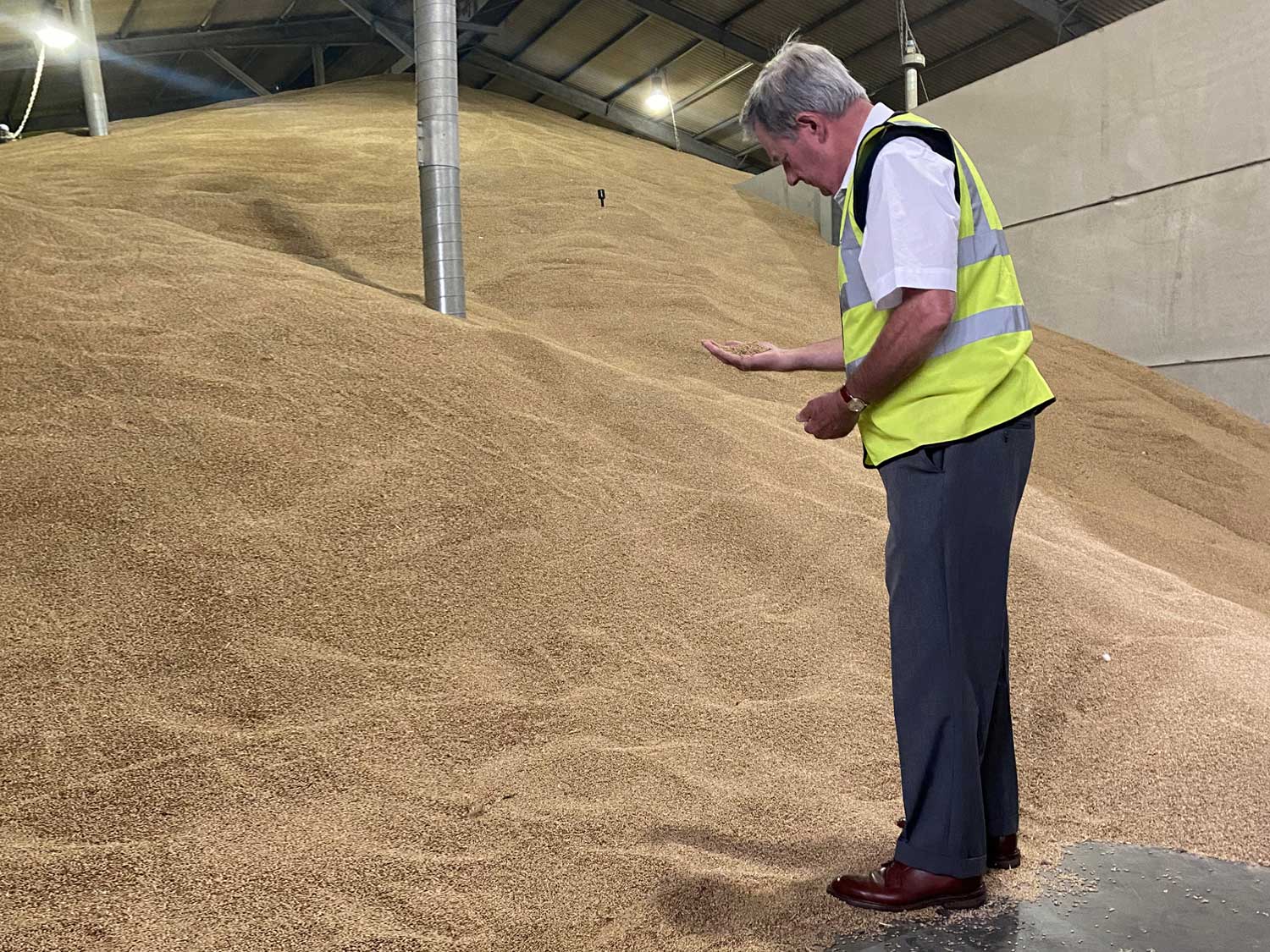 inspecting-the-malt