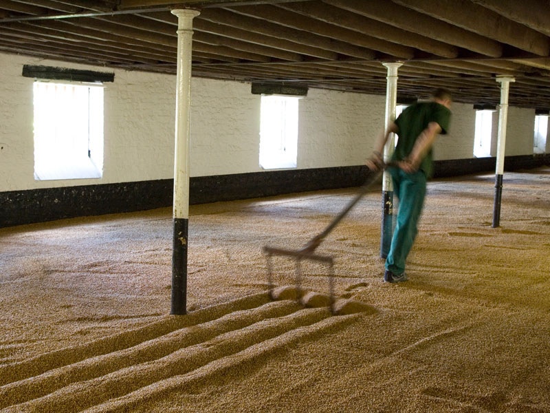 Warminster Maltings - from fields of gold 2021