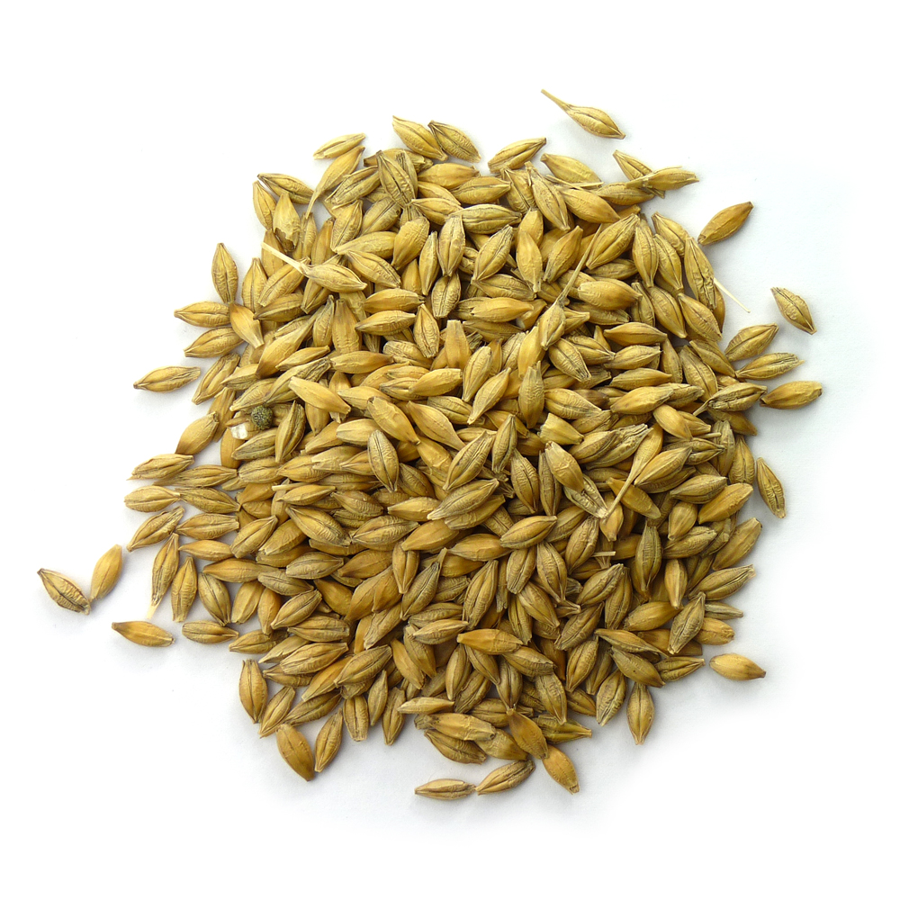 Warminster Maltings - Roasted Barley