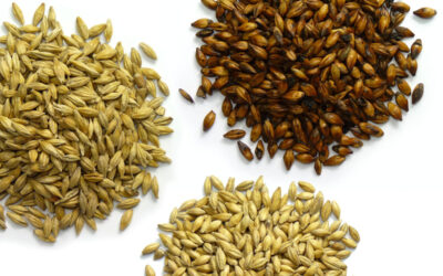 The Organic Market is Booming!